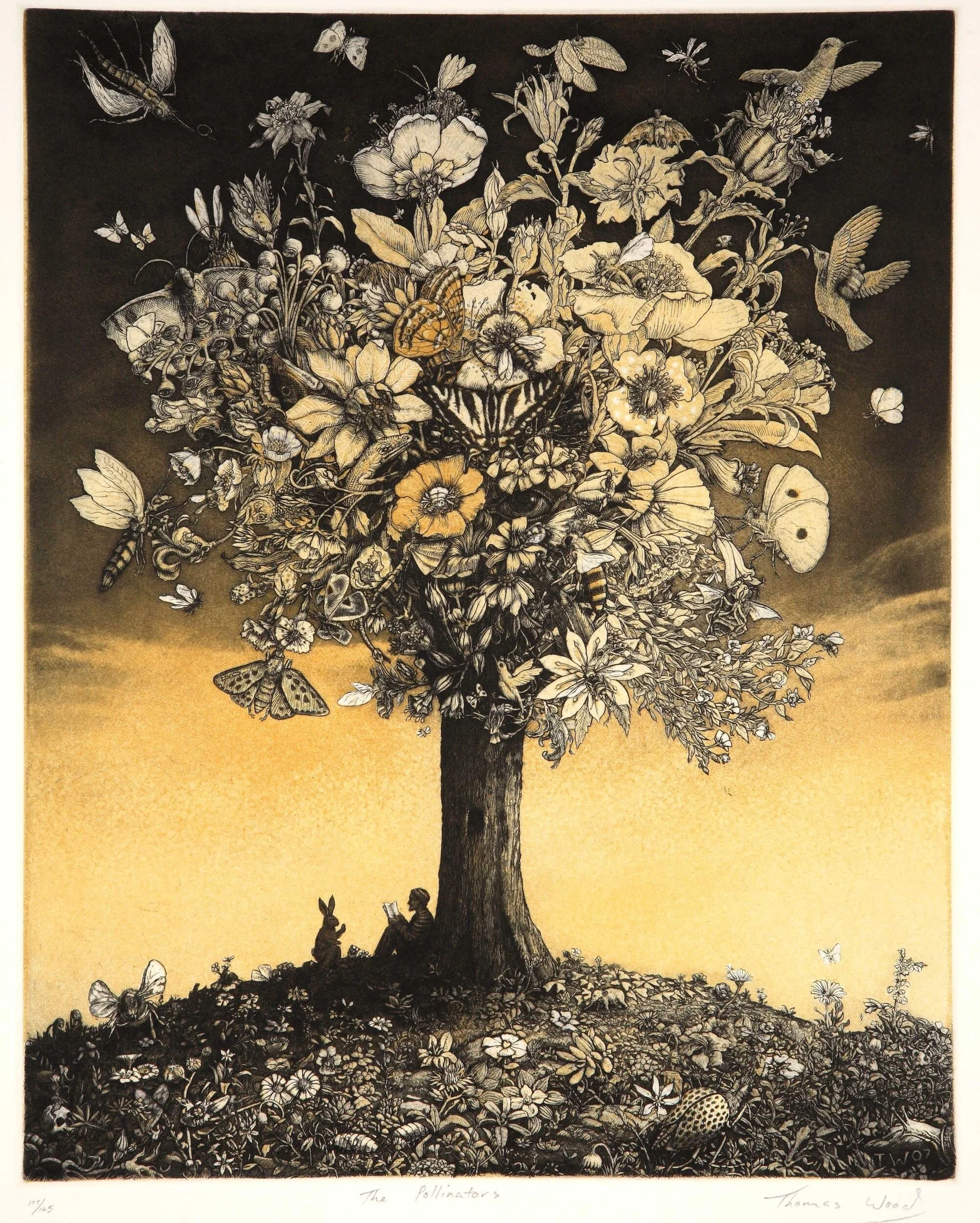 The Pollinators — Harris Harvey Gallery